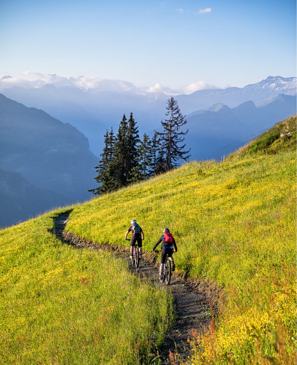 Singletrail mit Blick auf die Berge © WOM / TVB Großarl