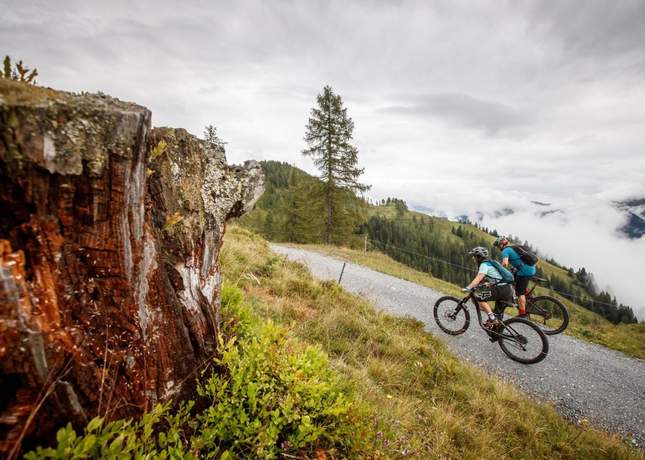 Mountainbiker beim Radeln am Forstweg © Erwin Haiden