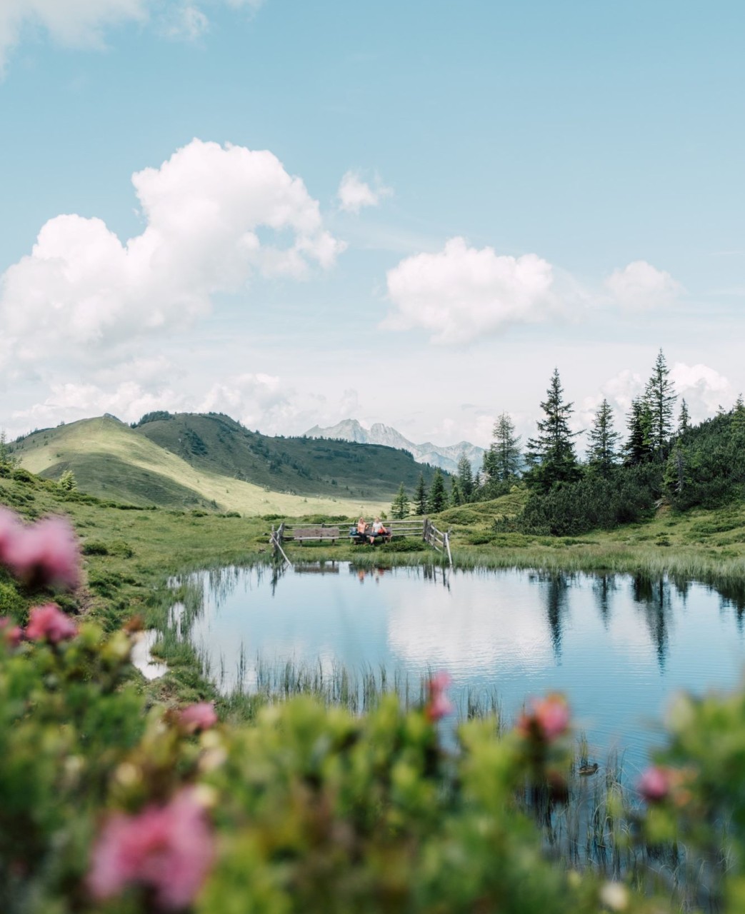 Großarl Almweg © SalzburgerLand Tourismus - Chris Perkles