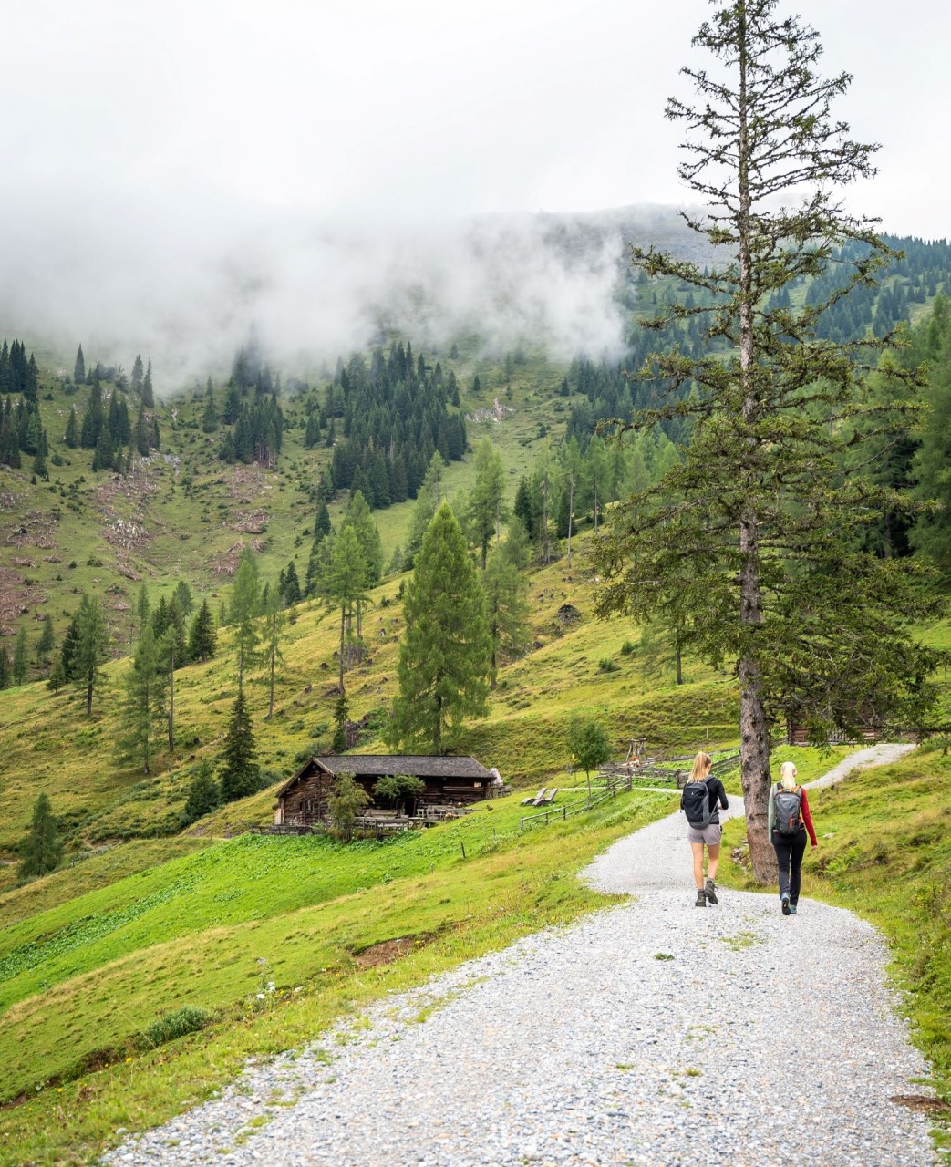 Wanderer auf einem Pfad, der durch die üppigen, grünen Berge und Täler von Großarl © Tourismusverband Großarltal
