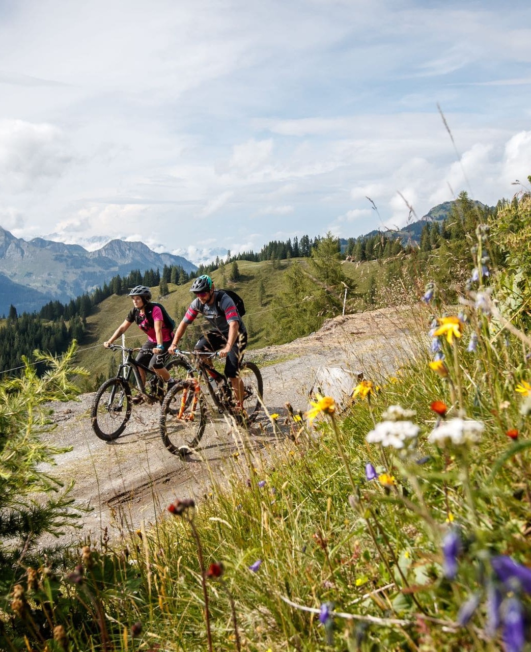 Biken am Forstweg mit wunderschöner Bergkulisse und Alpenblumen © Erwin Haiden/TVB Großarltal