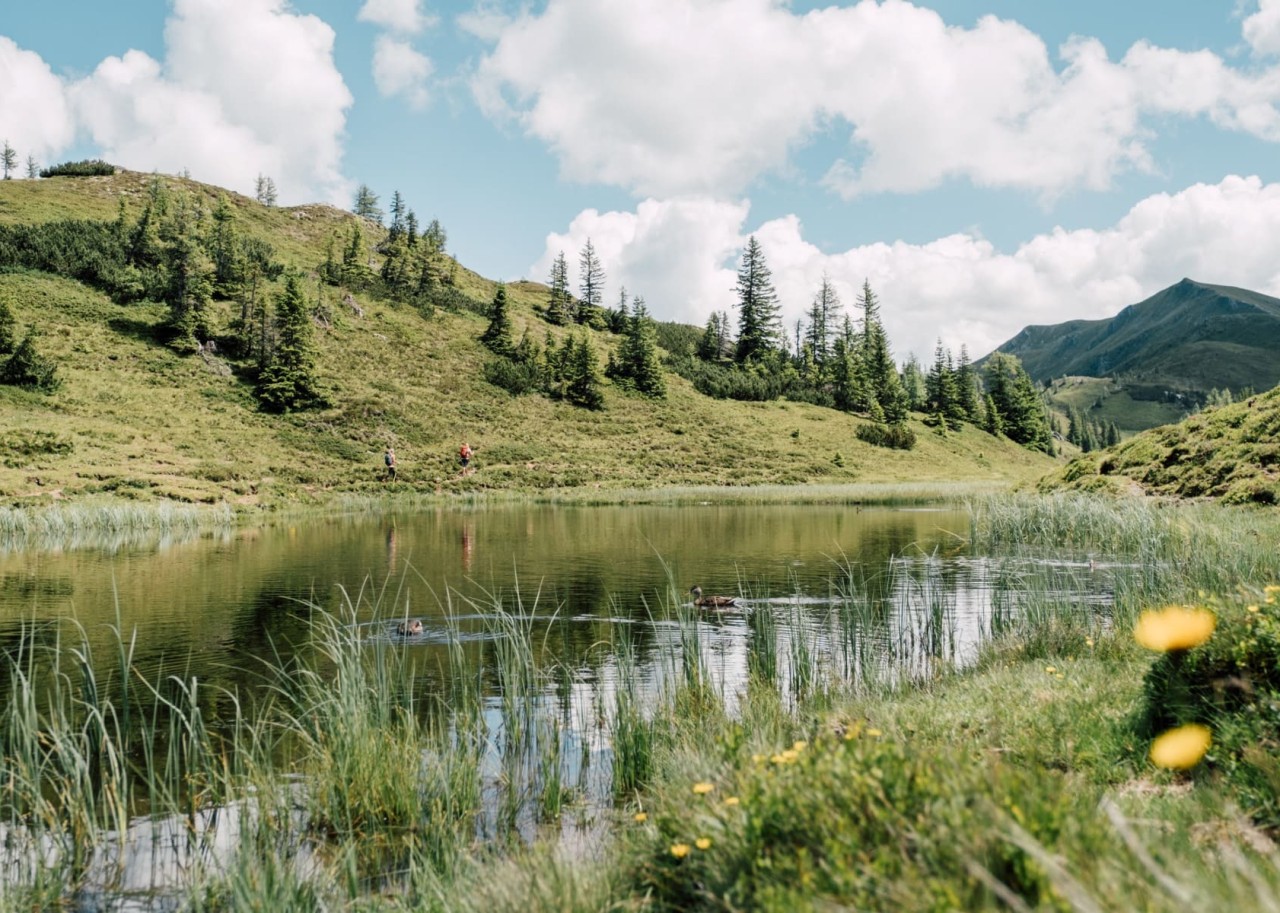 Großarl Almenweg  © SalzburgerLand Tourismus / Chris Perkles